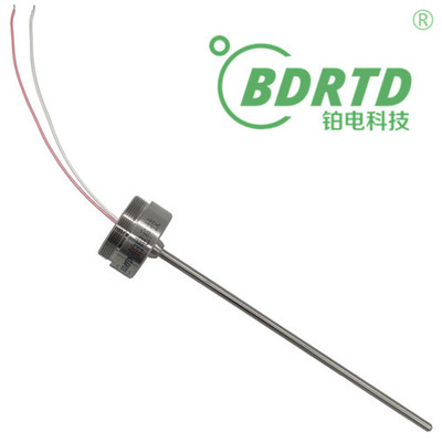 灭菌柜温度记录仪用铂电阻