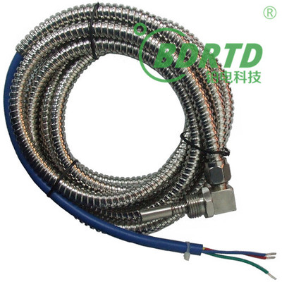 带波纹管防爆铂电阻