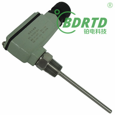 带BHC防爆接线盒铂电阻