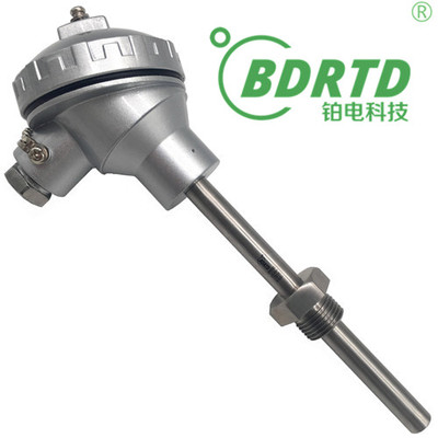 装配式铂电阻（螺纹安装）
