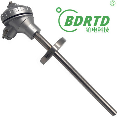 装配式铂电阻（法兰安装）